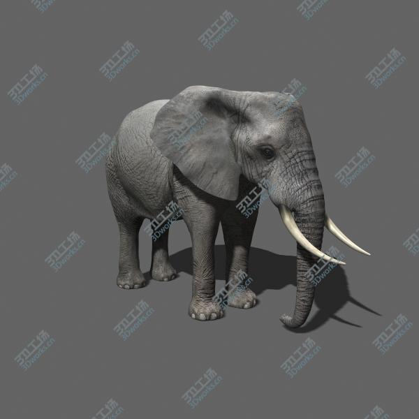images/goods_img/20210319/PRO Elephant ANIMATED/4.jpg